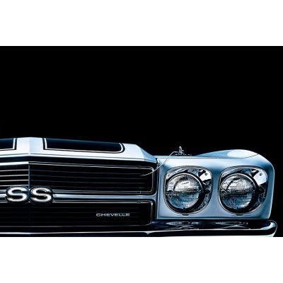 GM '70 Chevelle SS Grill 24x36"