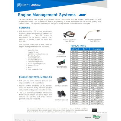 SELL SHEET - OREILLYS - ENGINE SYSTEMS