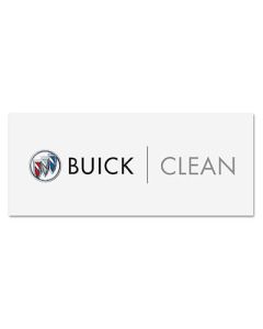 BUICK CLEAN DOOR SEAL